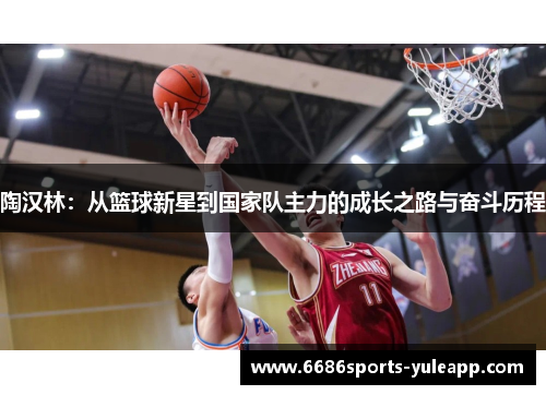 陶汉林：从篮球新星到国家队主力的成长之路与奋斗历程